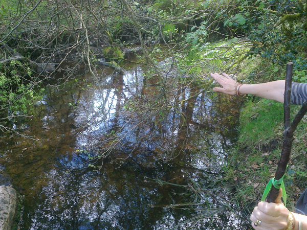 Katie-leigh-training